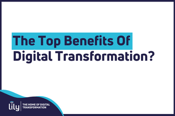 Lily Digital Transformation Benefits